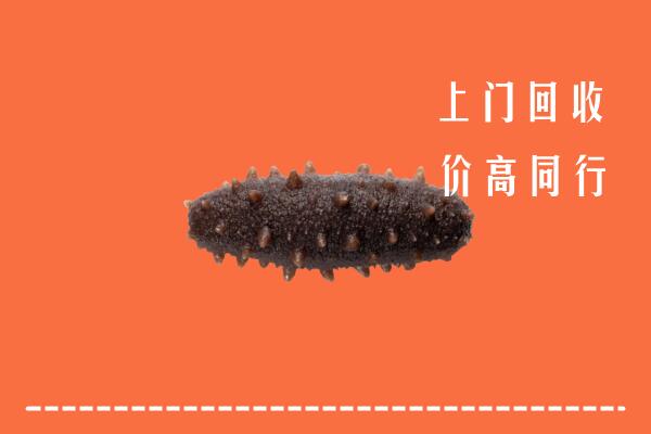 济南钢城区回收海参