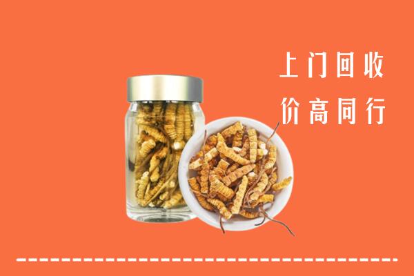 济南钢城区回收冬虫夏草
